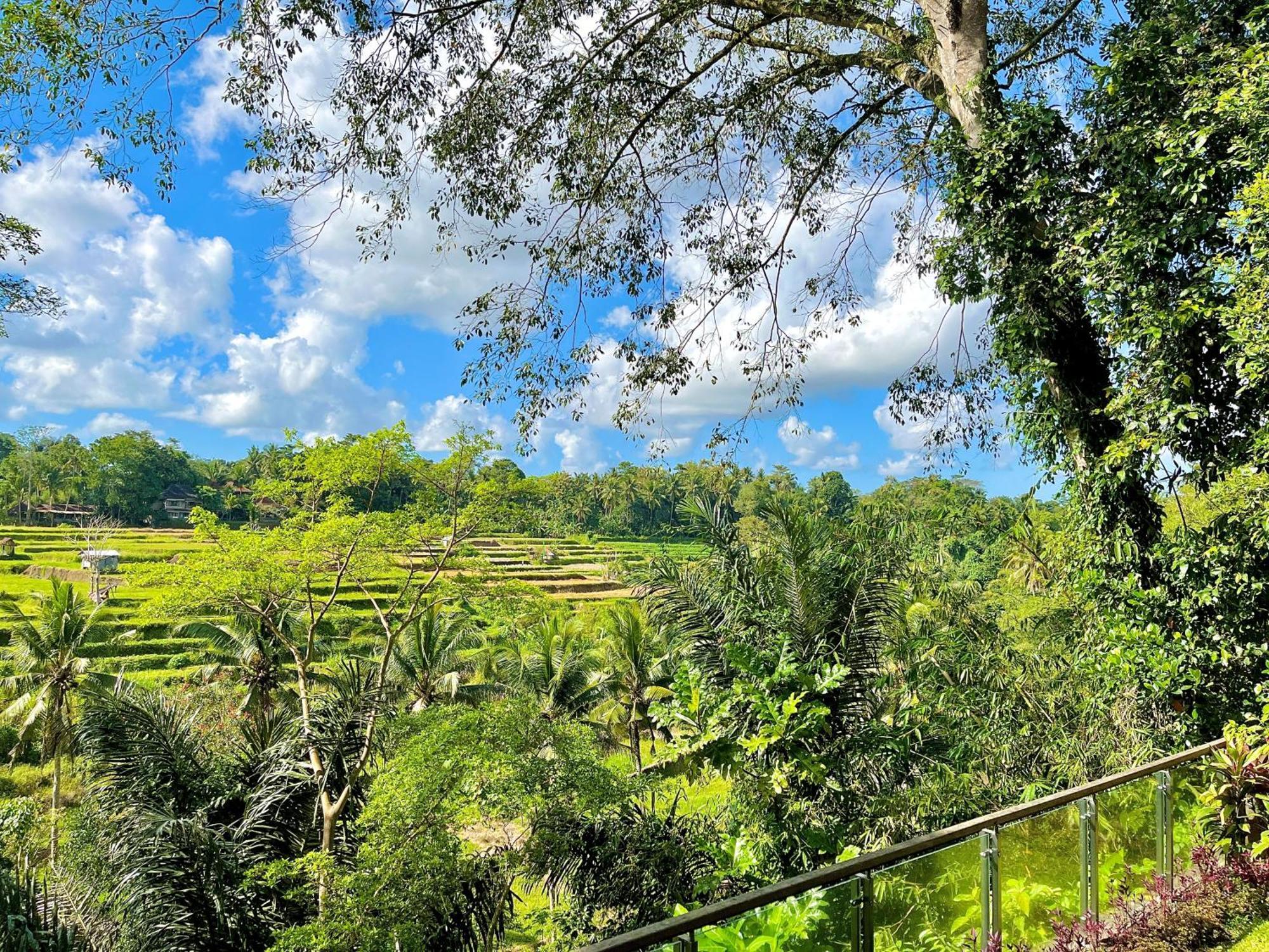 Villa Permata Ayung Private Estate (Adults Only) Ubud Exterior foto